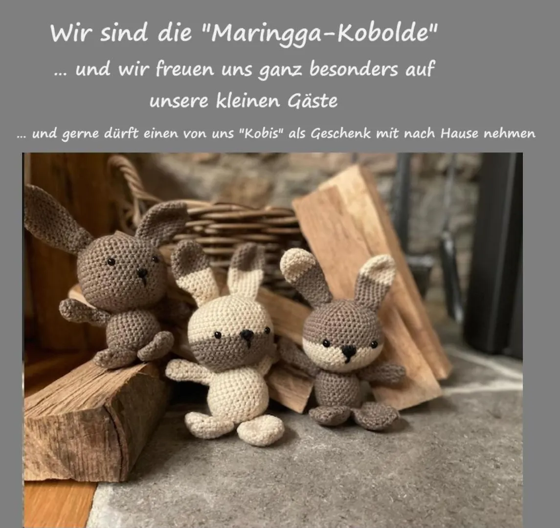 Apartment Ferienwohnung Maringga Obermaiselstein